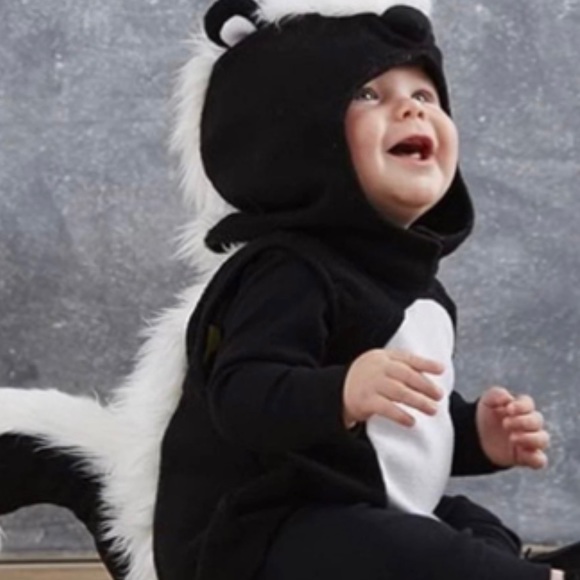 Pottery Barn Kids Other - Pottery barn kids skunk costume